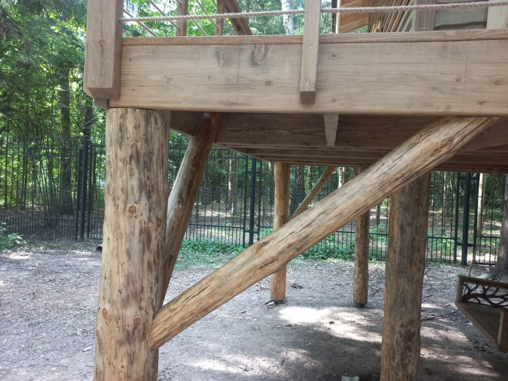 Домик на дереве в лесу