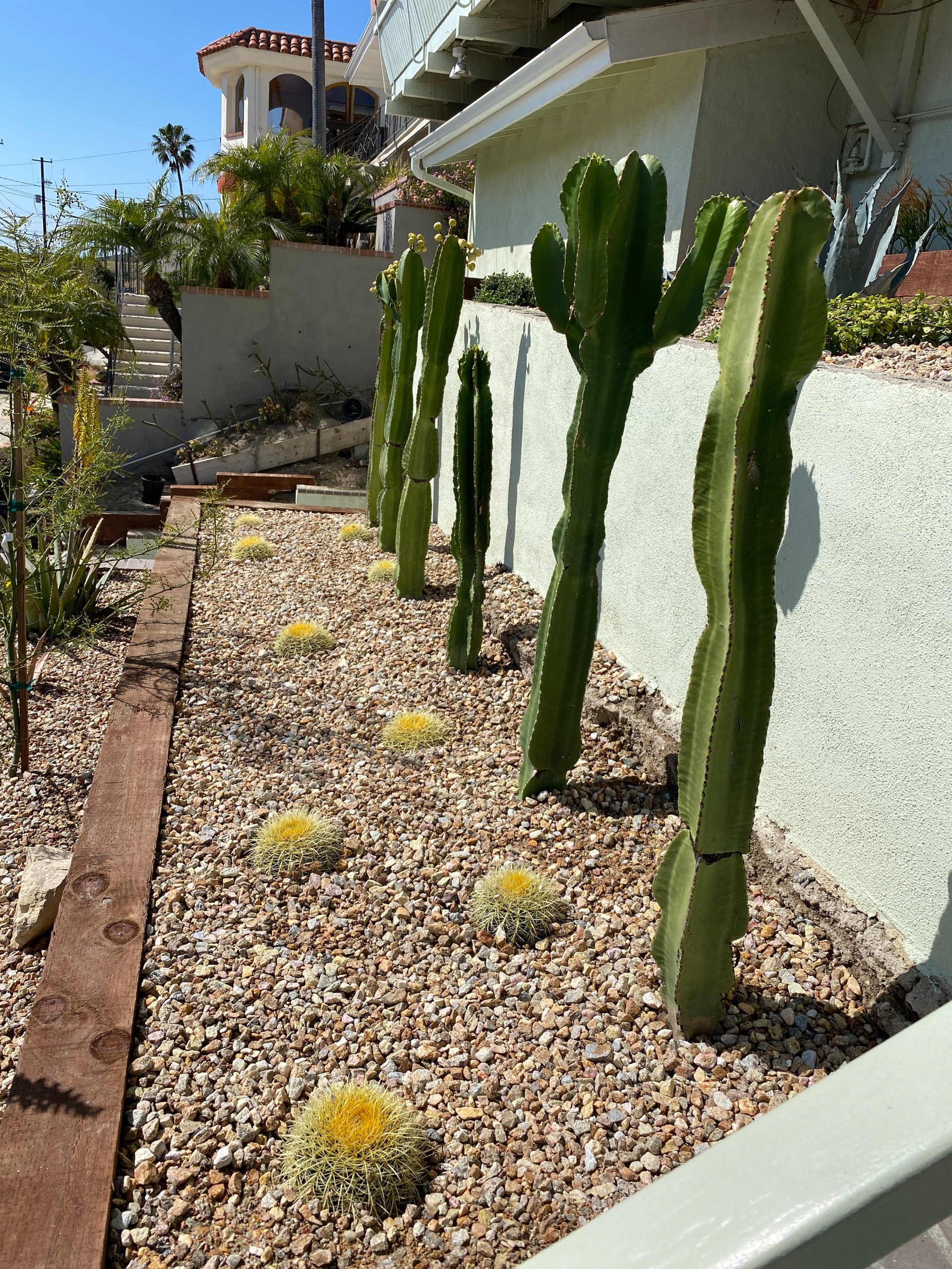 San Pedro, CA: Palm Springs Mid-Mod by the Beach