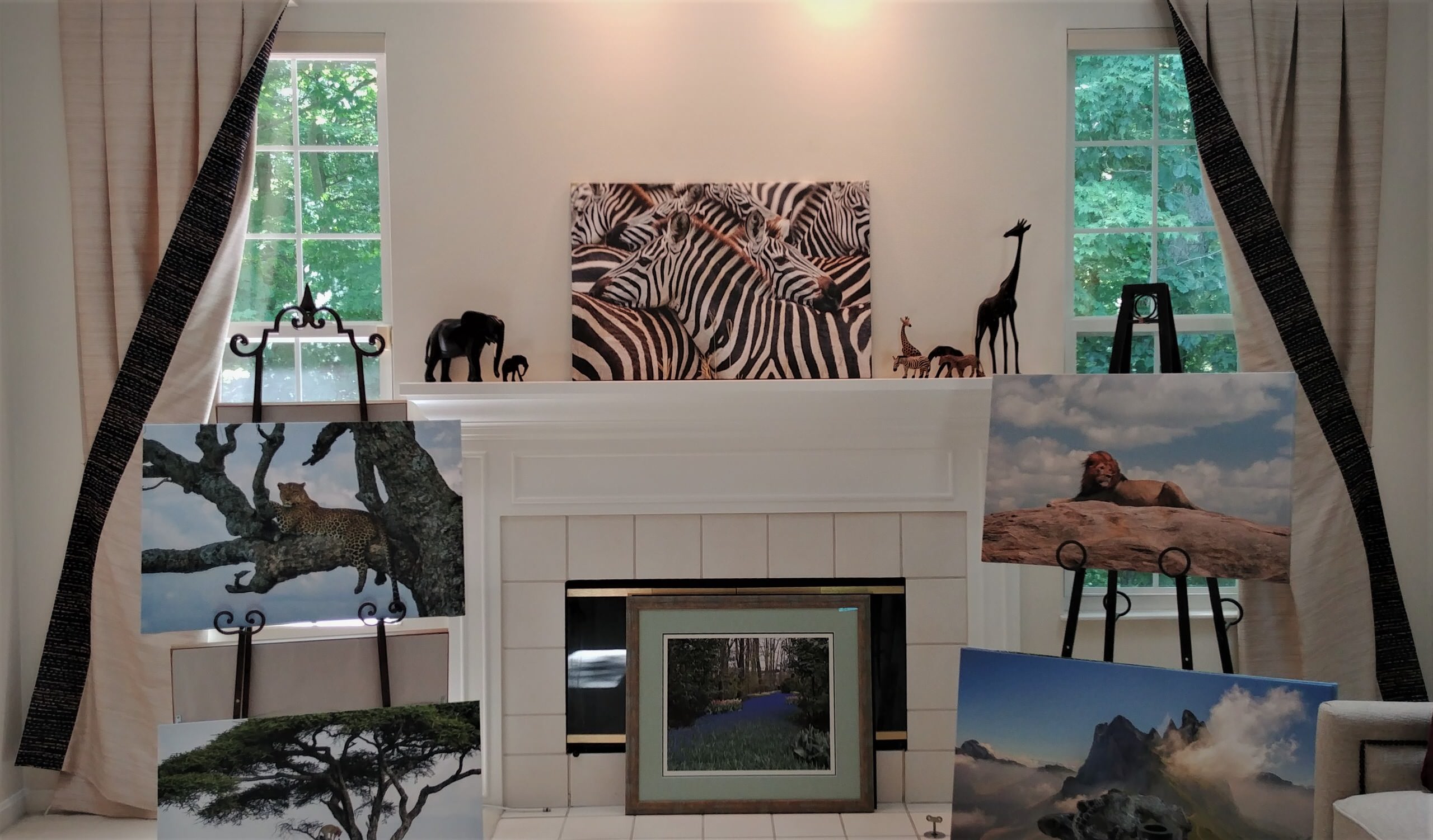 On the Plains of Sarengeti- Wildlife photographer's getaway