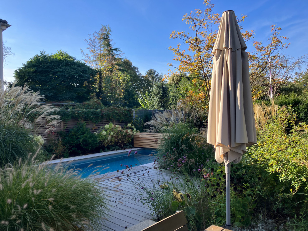 Inspiration for a mid-sized contemporary backyard rectangular lap pool remodel in Berlin