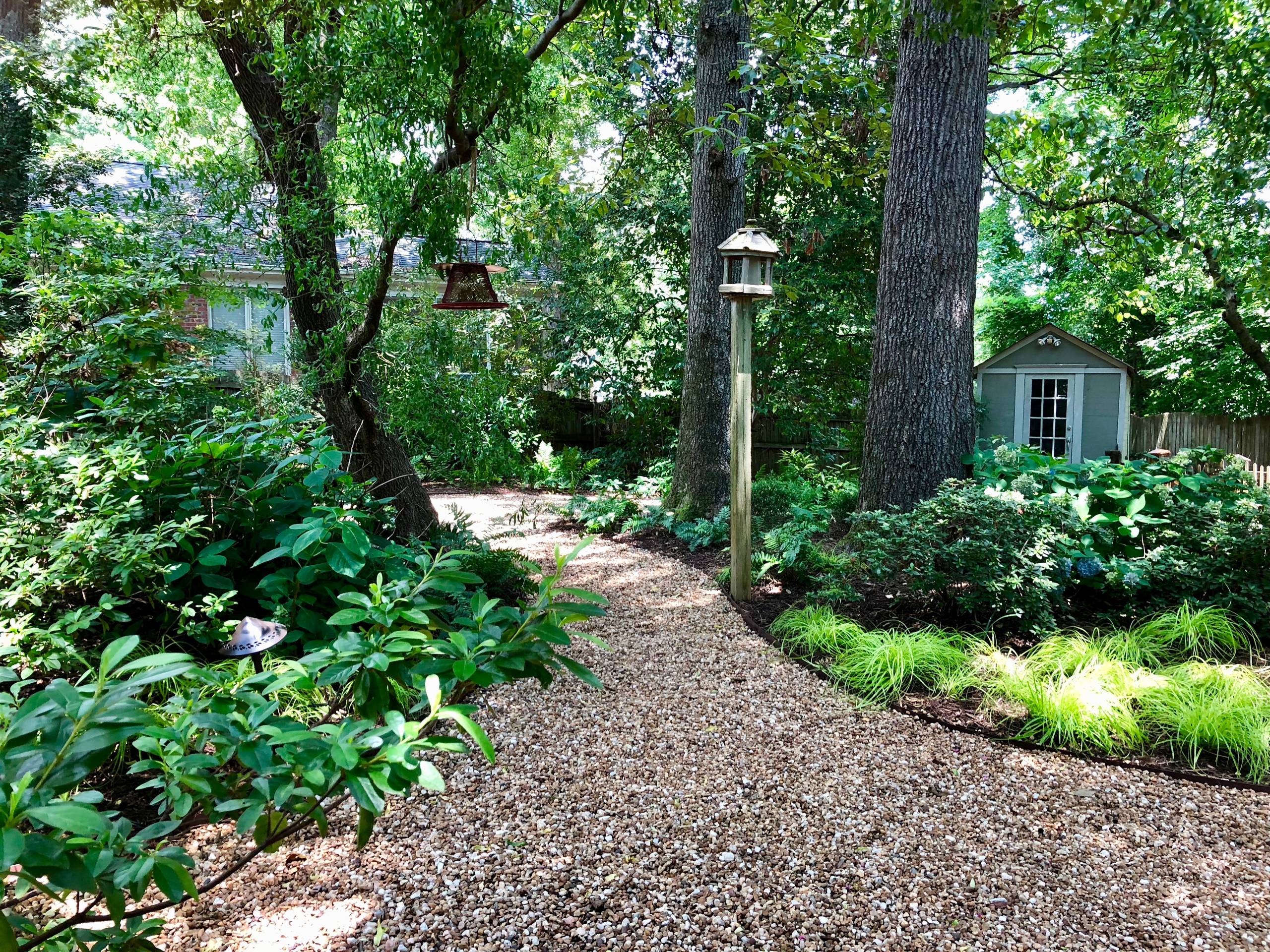 Tranquil Urban Backyard