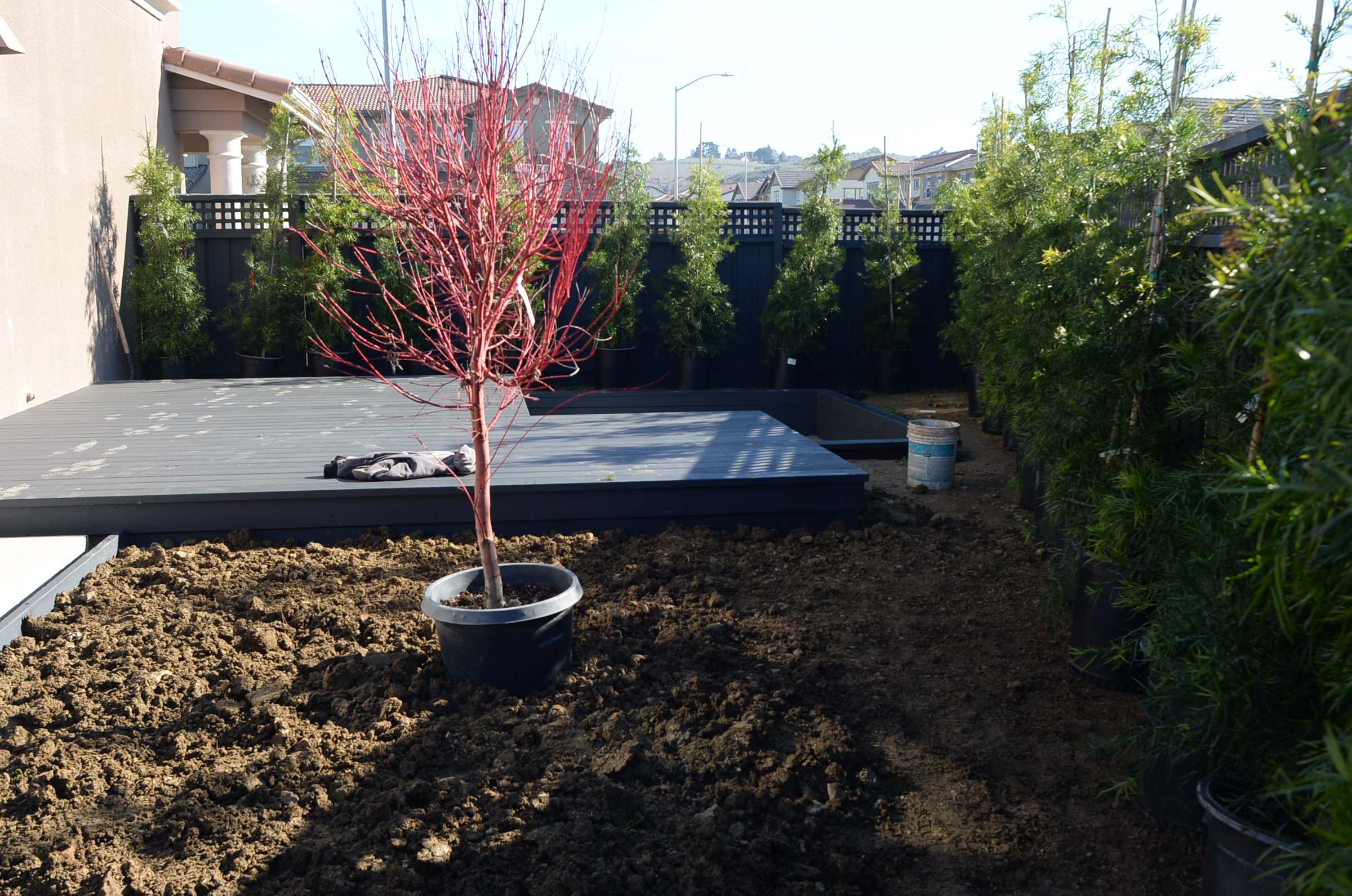 Koch Residence - Benicia- Under Construction