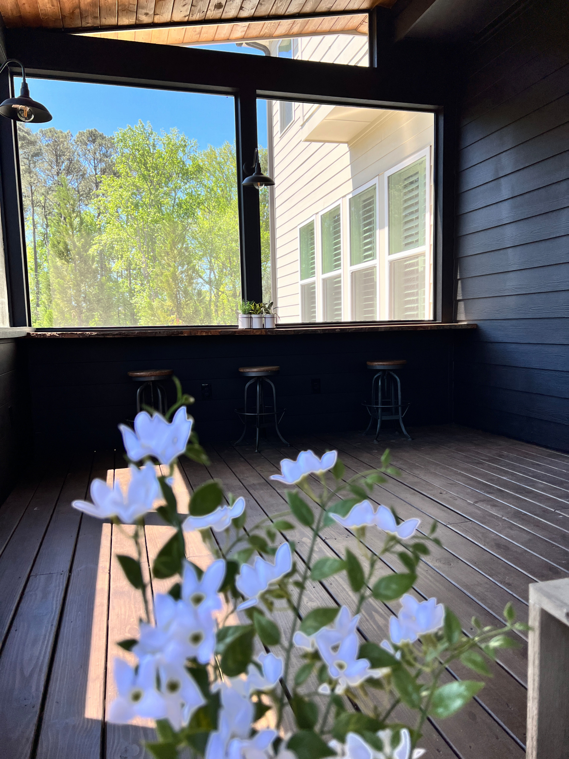 Back Deck Renovation