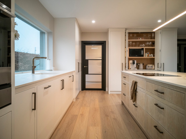 Ivory Envy '23 contemporary-kitchen