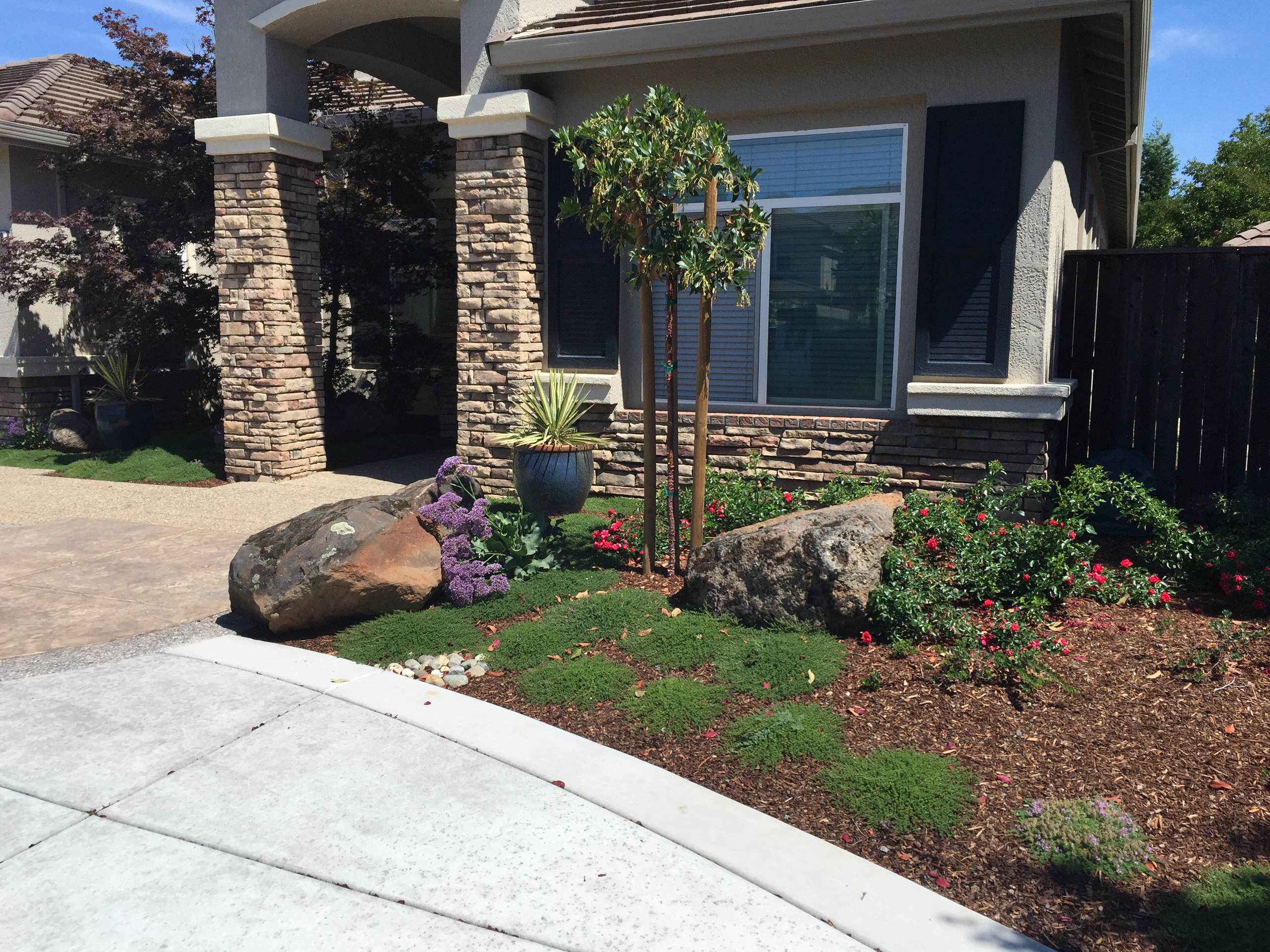 Roseville Circular Driveway & Landscape