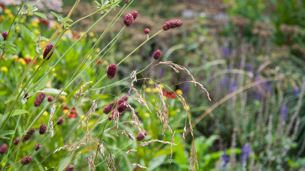 Оттенки синего