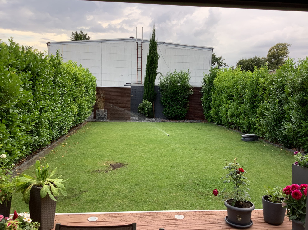 Kirschlorbeer als Grundstckseinfassung? | Houzz