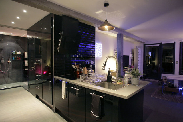 Loft 57m2 - Paris 20e industrial-kitchen