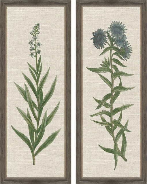 Paragon Florals Casual Set Of 2 Blue Botanicals Wall Art 13046 Farmhouse Prints And Posters By Gwg Outlet