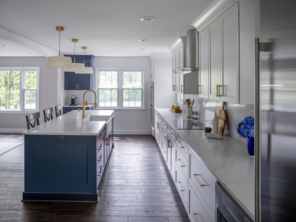 Kitchen - transitional kitchen idea in DC Metro