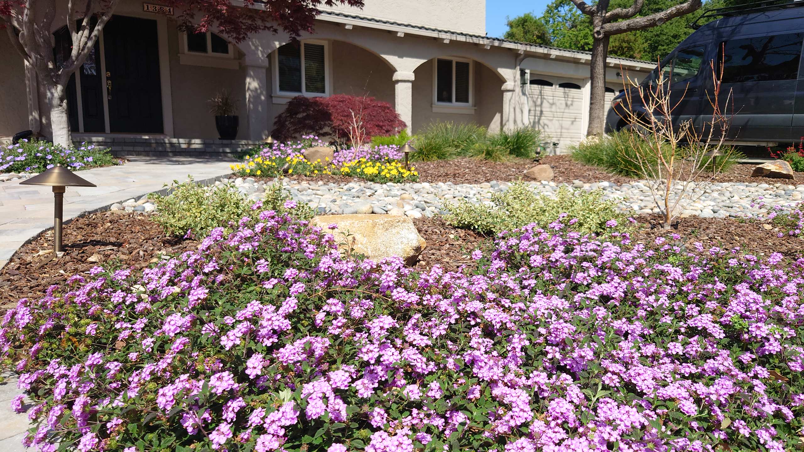 DESIGN TO COMPLIMENT MAPLE TREES