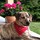 Last commented by Carol.33
