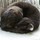 ingela_hallgren72