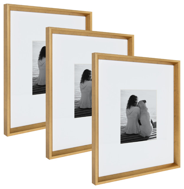 Calter Photo Frame Set, 16x20 matted to 8x10 Transitional Picture