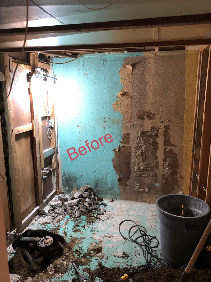 Brampton Basement Washroom