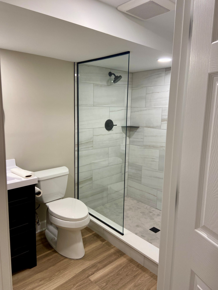 South Wheaton Basement bathroom