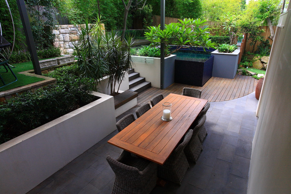 Inspiration for a contemporary garden in Sydney.