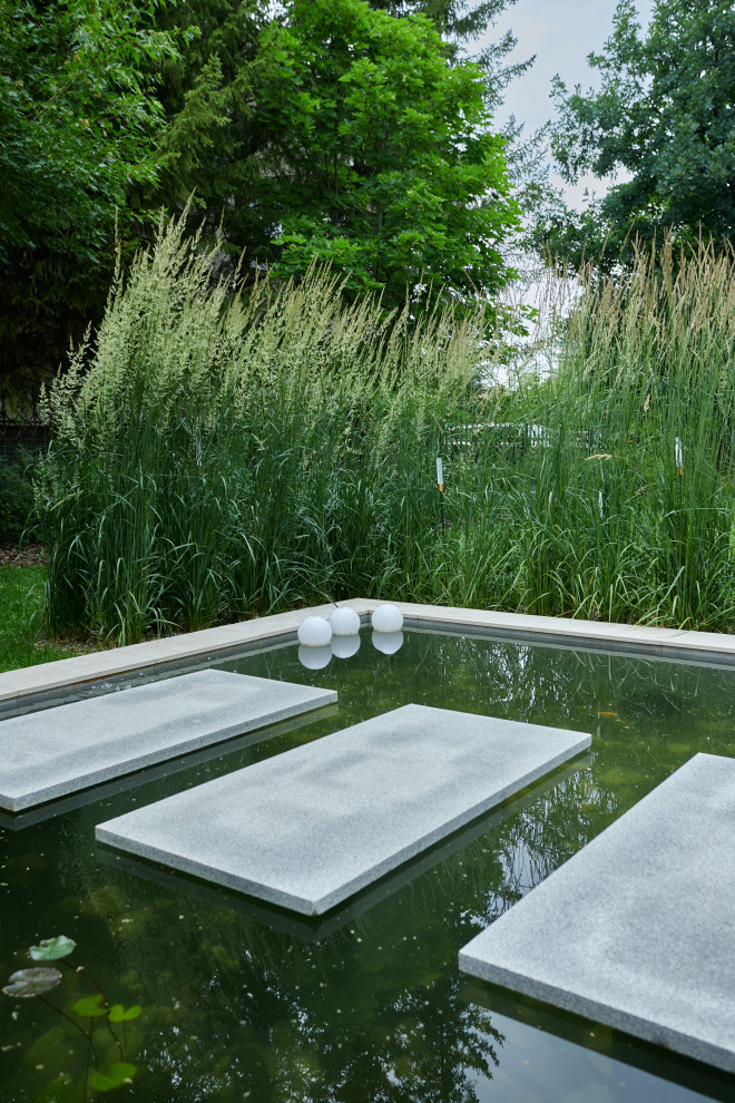 Водоем:Чистые линии