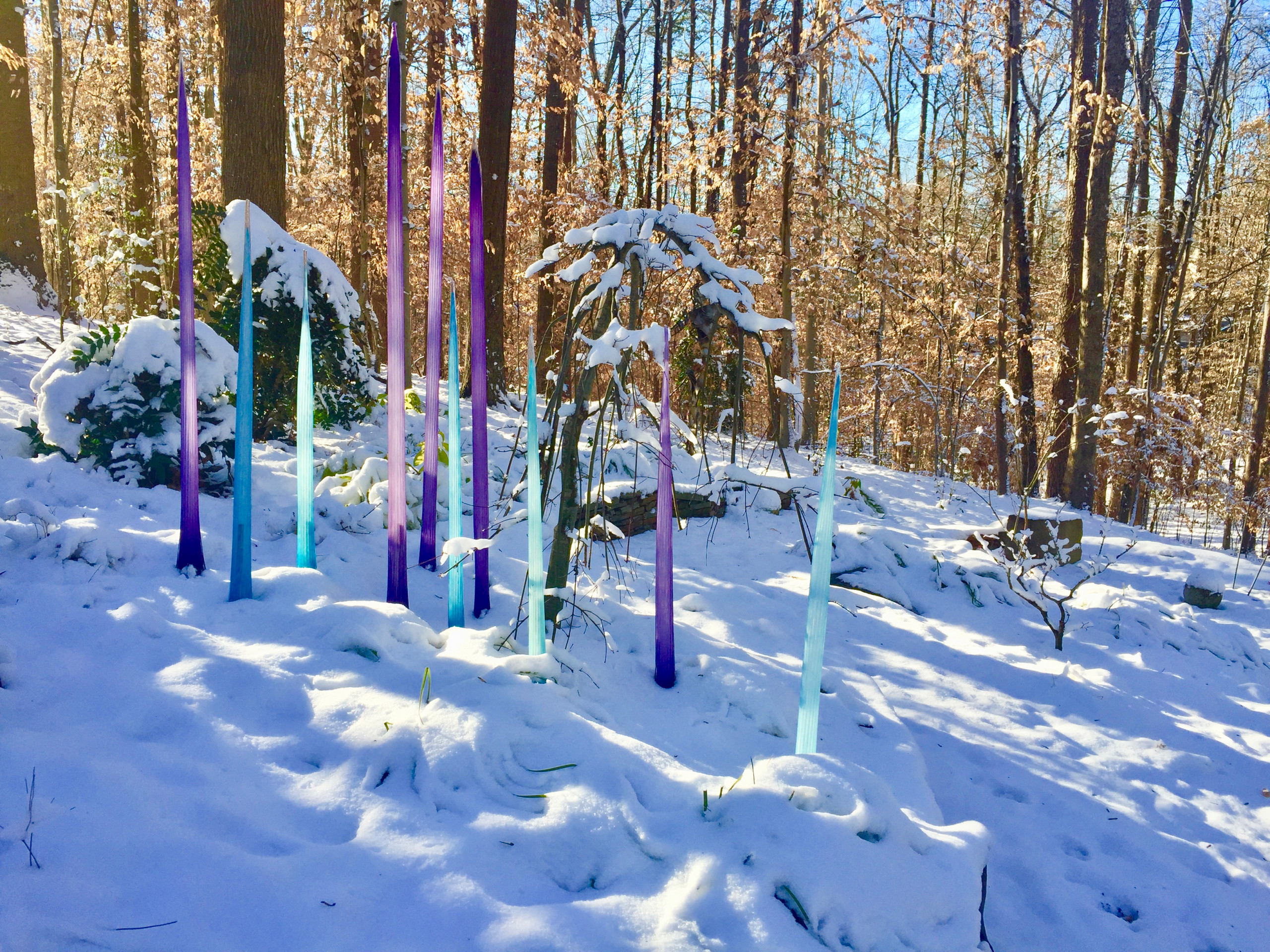 Glass spears in the snow.