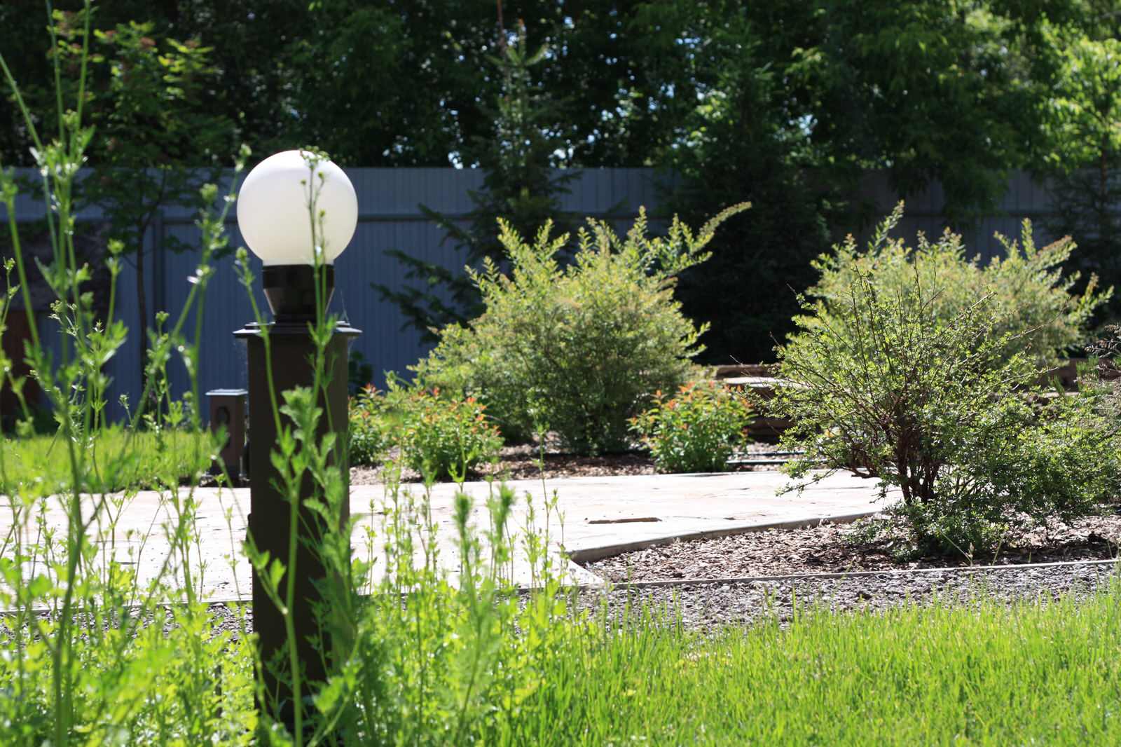 Сад Кандинский