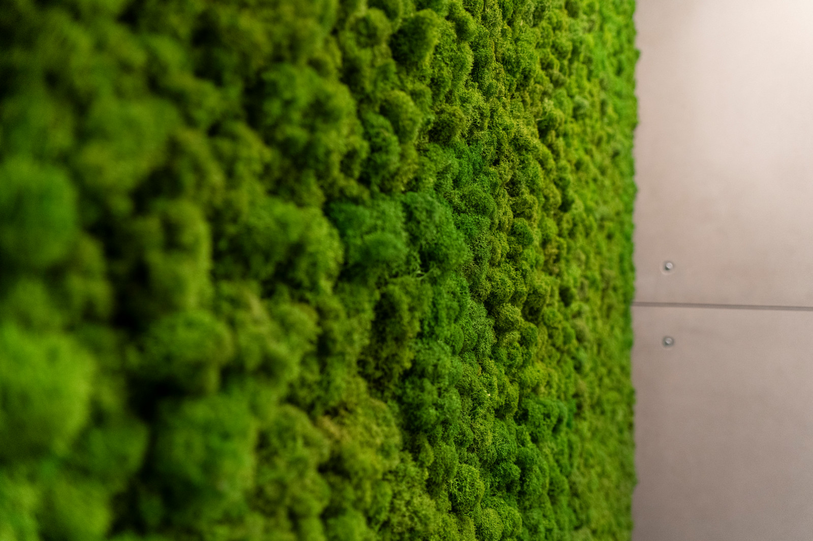 Проект в поселке Новогорск парк