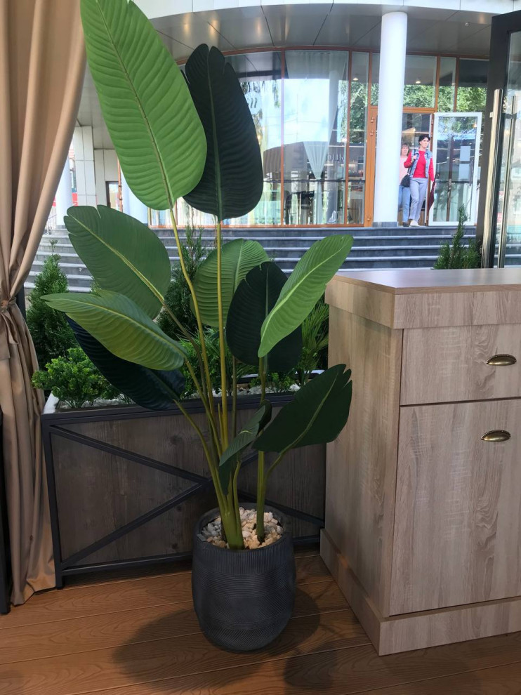 кофейня "Шоколадница"