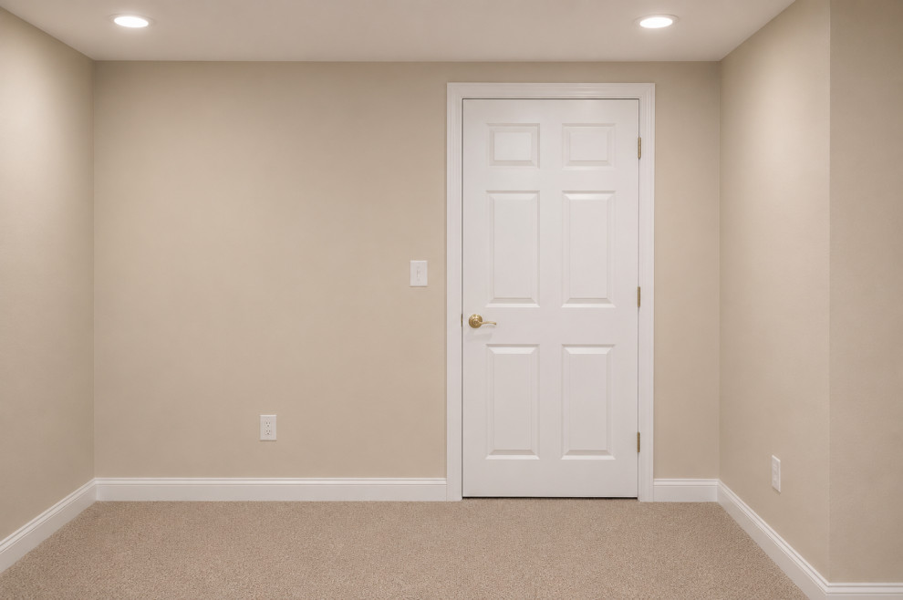 Ann Arbor - Basement Family Space, Guest Room & Egress Window