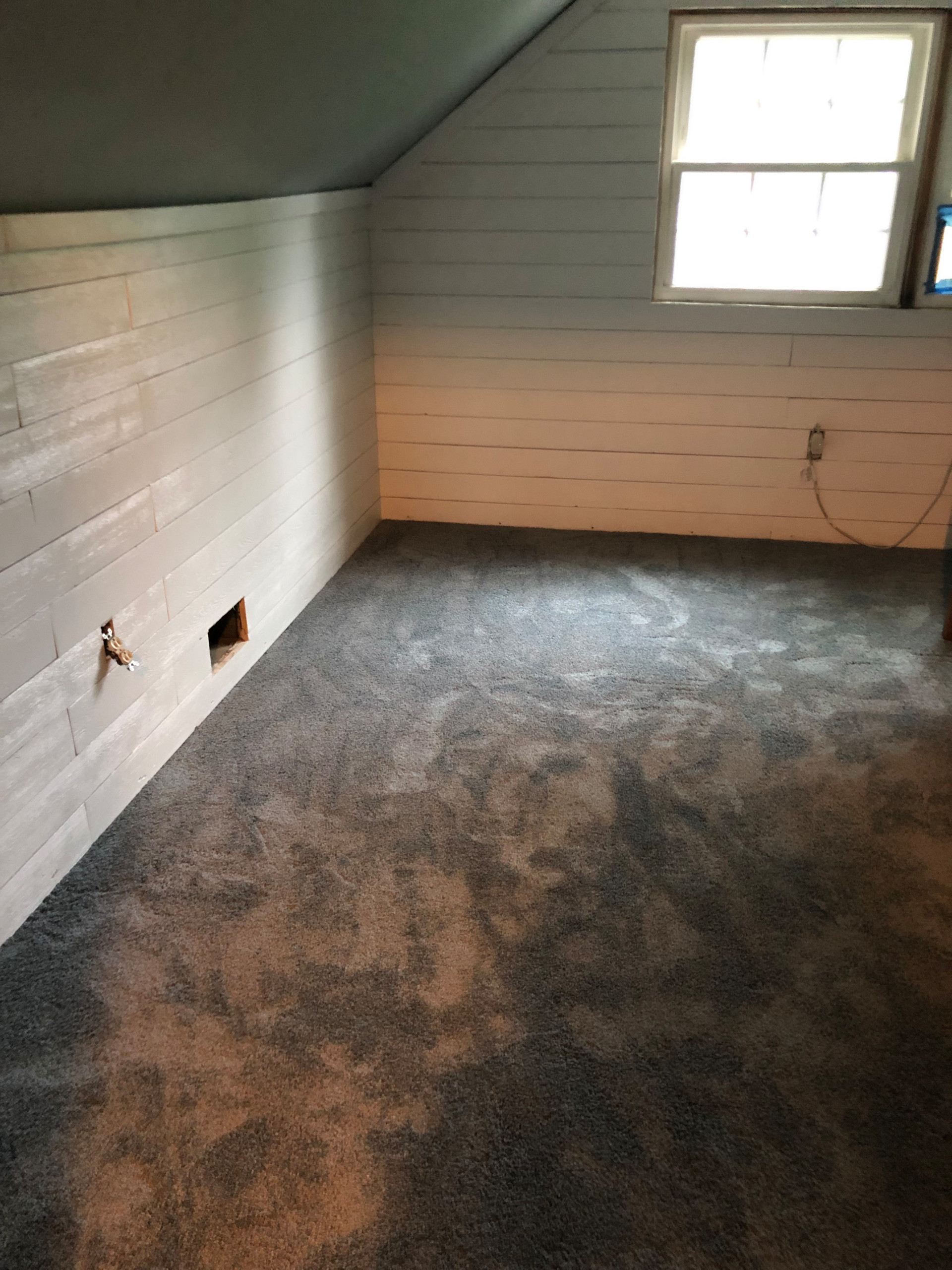 Basement Remodel