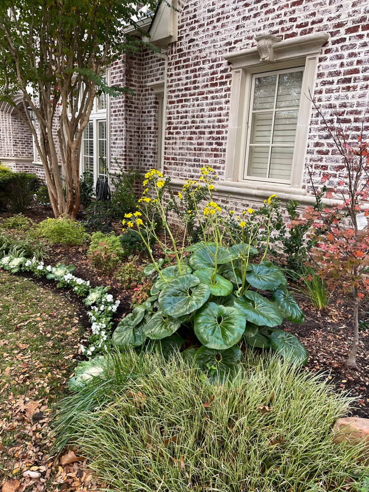 Oak Lawn Residential Landscape