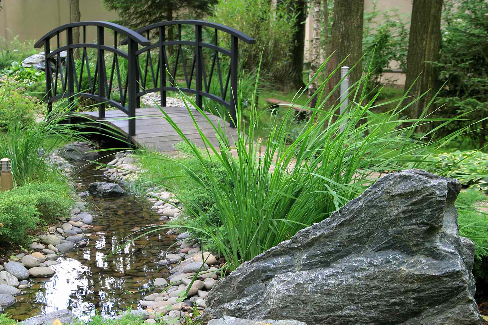 В теневом лесу