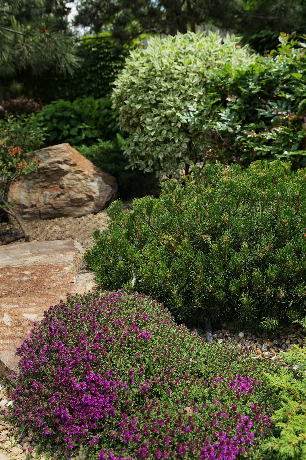 Лесная опушка