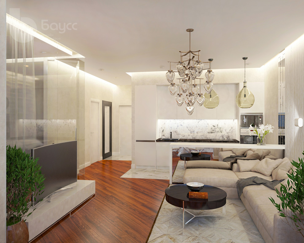 Проект "СВЕТЛЫЙ". Квартира-студия 54 кв. м