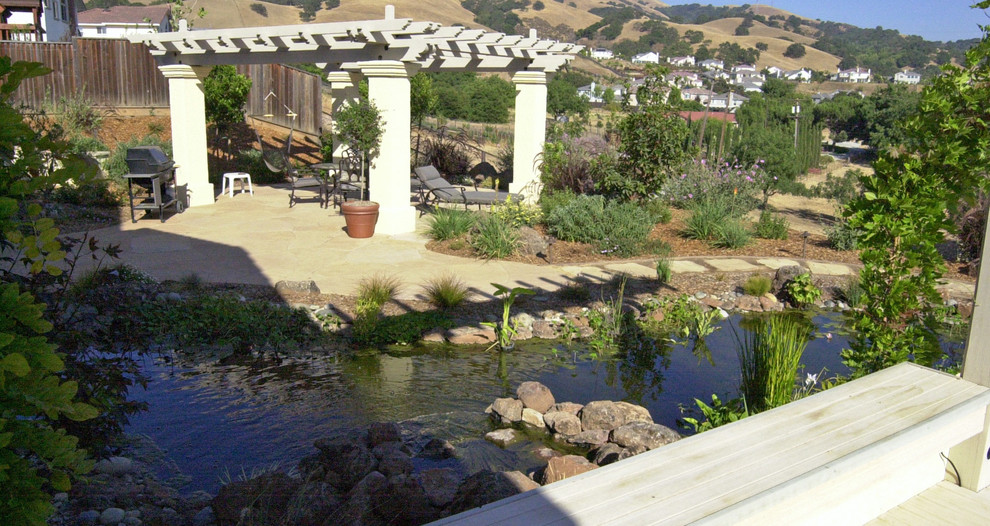 This is an example of a mid-sized traditional backyard full sun formal garden for spring in San Francisco with with pond, decomposed granite and a metal fence.