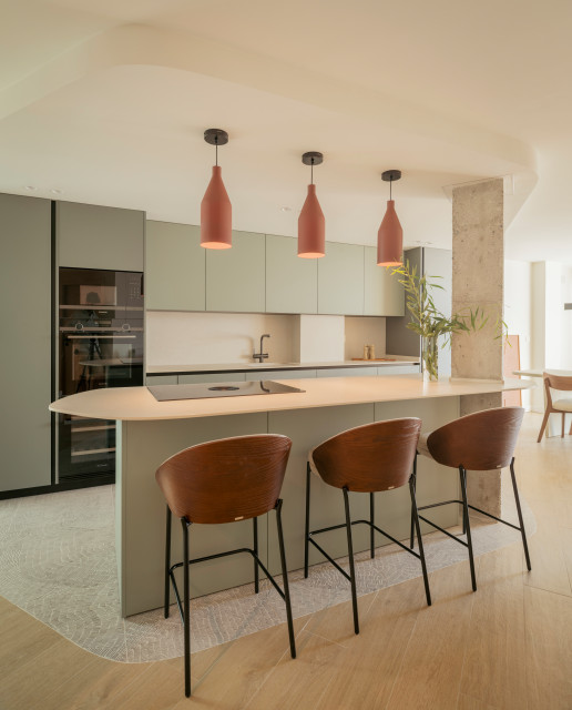 MD 04 contemporary-kitchen