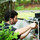 Sameday Electric Gate Repair Blythe