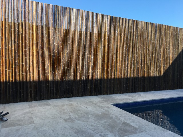 Colorbond Fence Cladding Using Black Bamboo contemporaneo-piscina