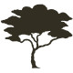 Landscape Specialties, LLC