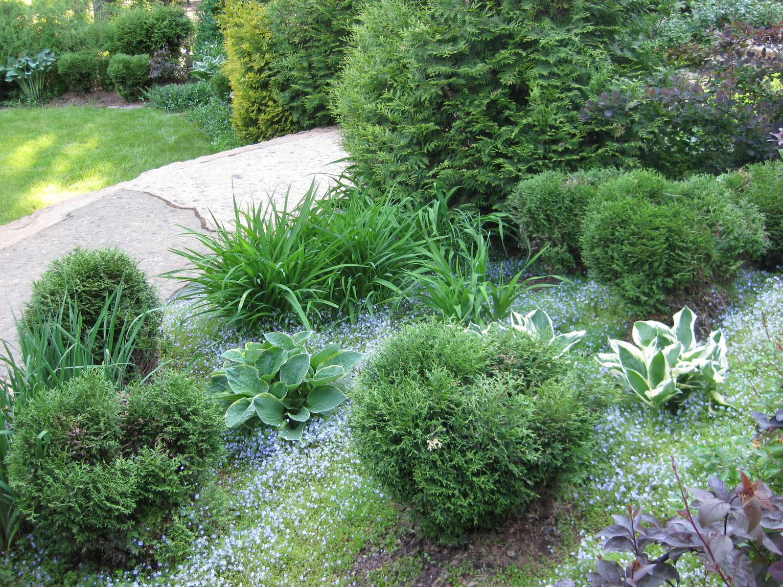 призамковый сад