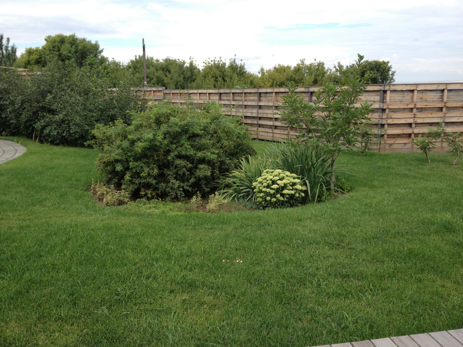 На берегу Волги