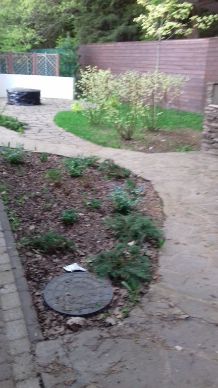 Дизайн клумбы в тени. До работы дизайнера.