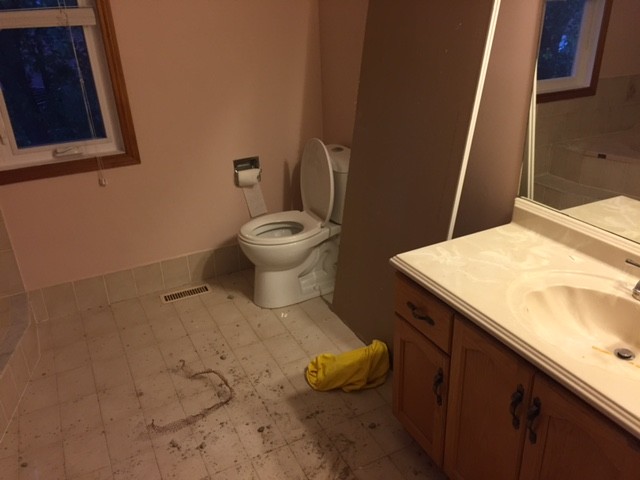 Major pluming change for Master Bathroom Renovation - Before & After