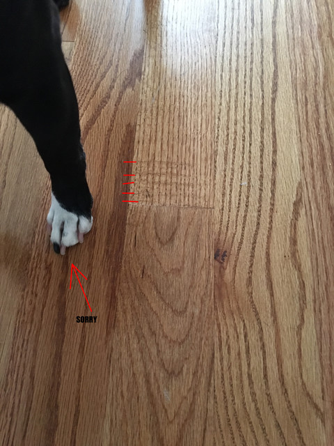 Floor Issues 
