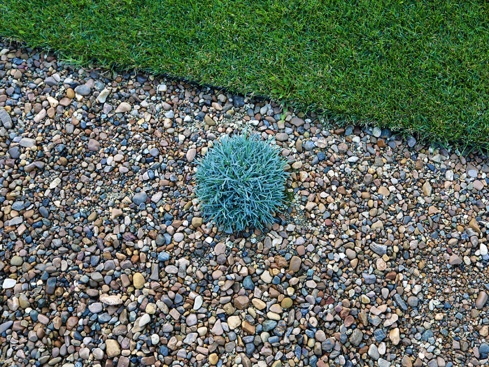 сад в городе