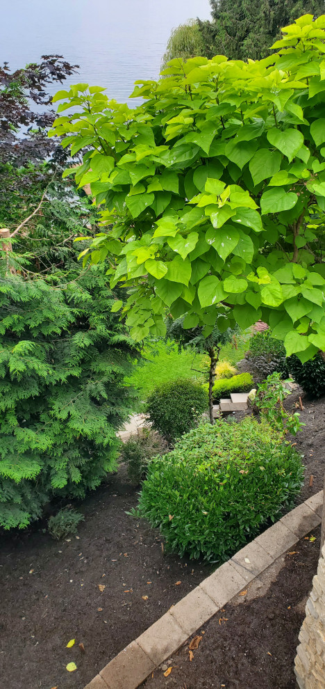 This is an example of an expansive mediterranean garden in Seattle.