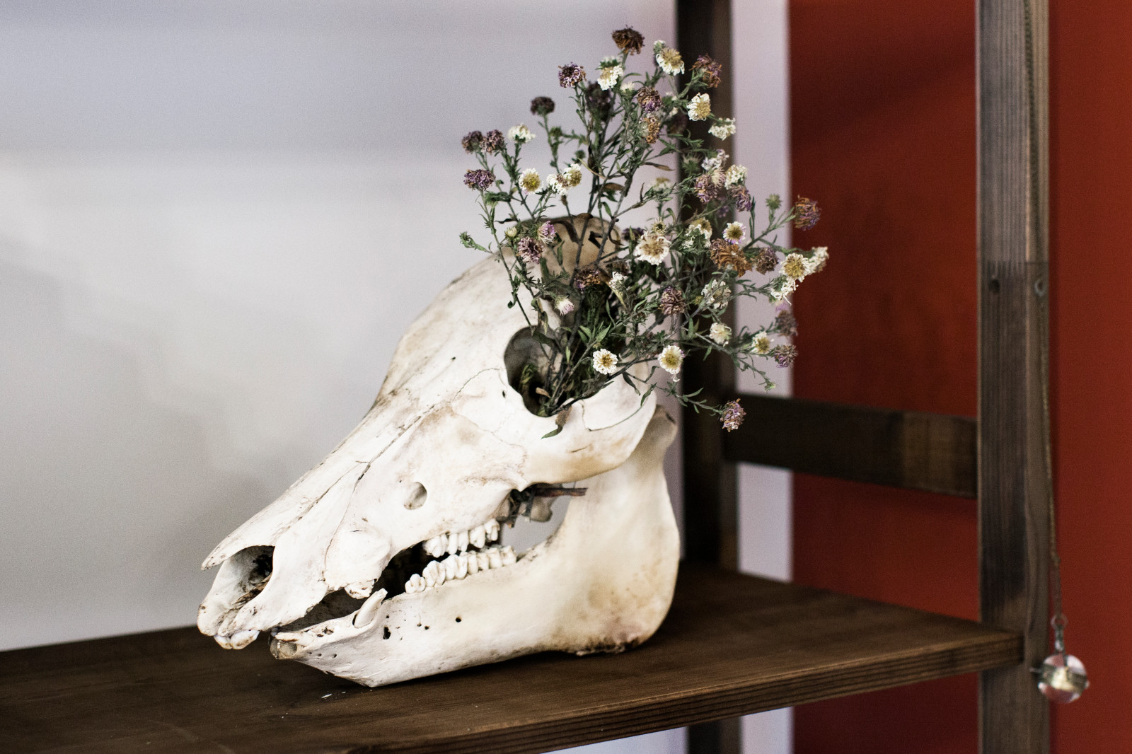 Марина/П/Путилковское