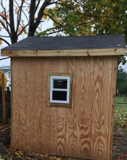 Backyard Shed