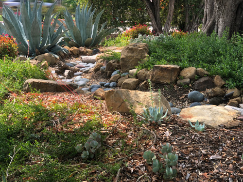 Ditch the Barrel: Here's How To Build a Thriving Rain Garden This Season