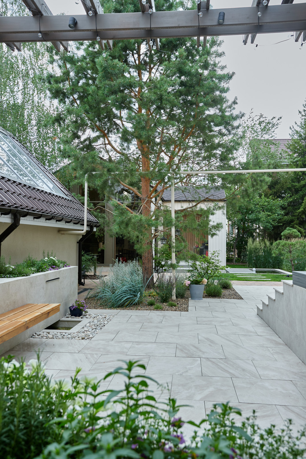 Чистые линии