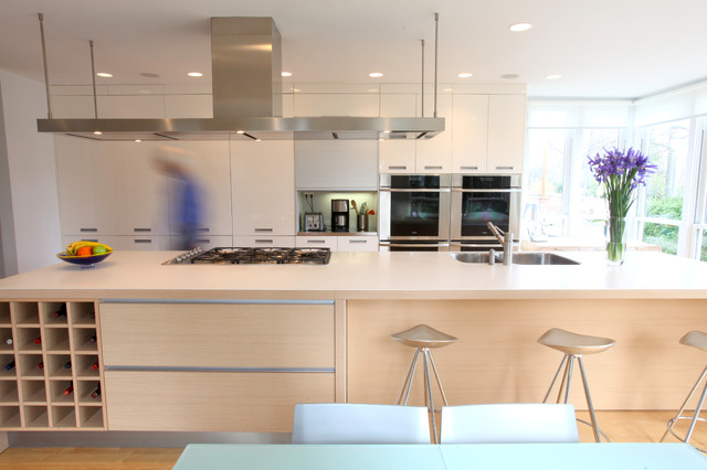 Modern Kitchen modern-kitchen