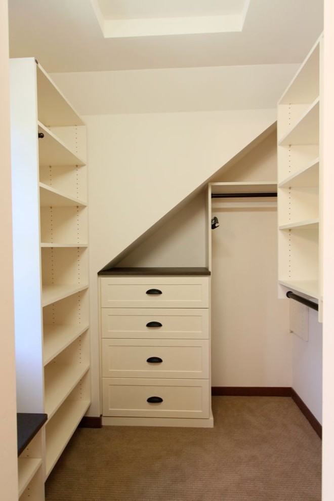 This is an example of a traditional storage and wardrobe in Minneapolis.